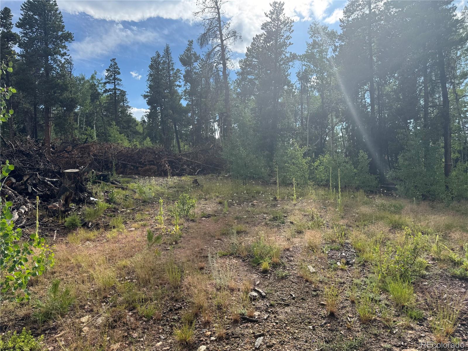 001 Church Placer Road