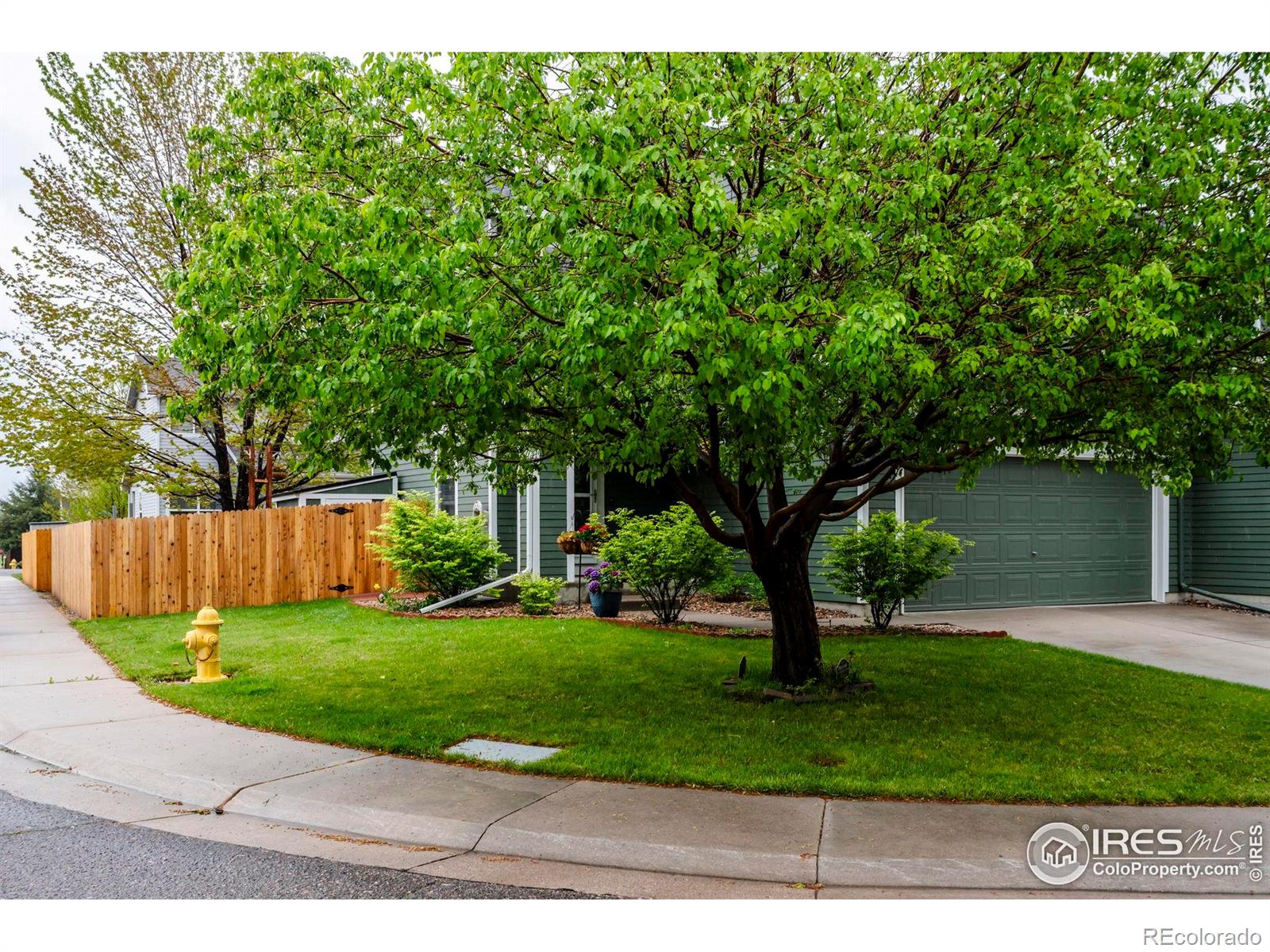 11040 York Street, Northglenn, CO, 80233 2 11040 York Street