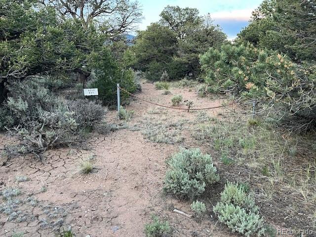 7386 Platten Road