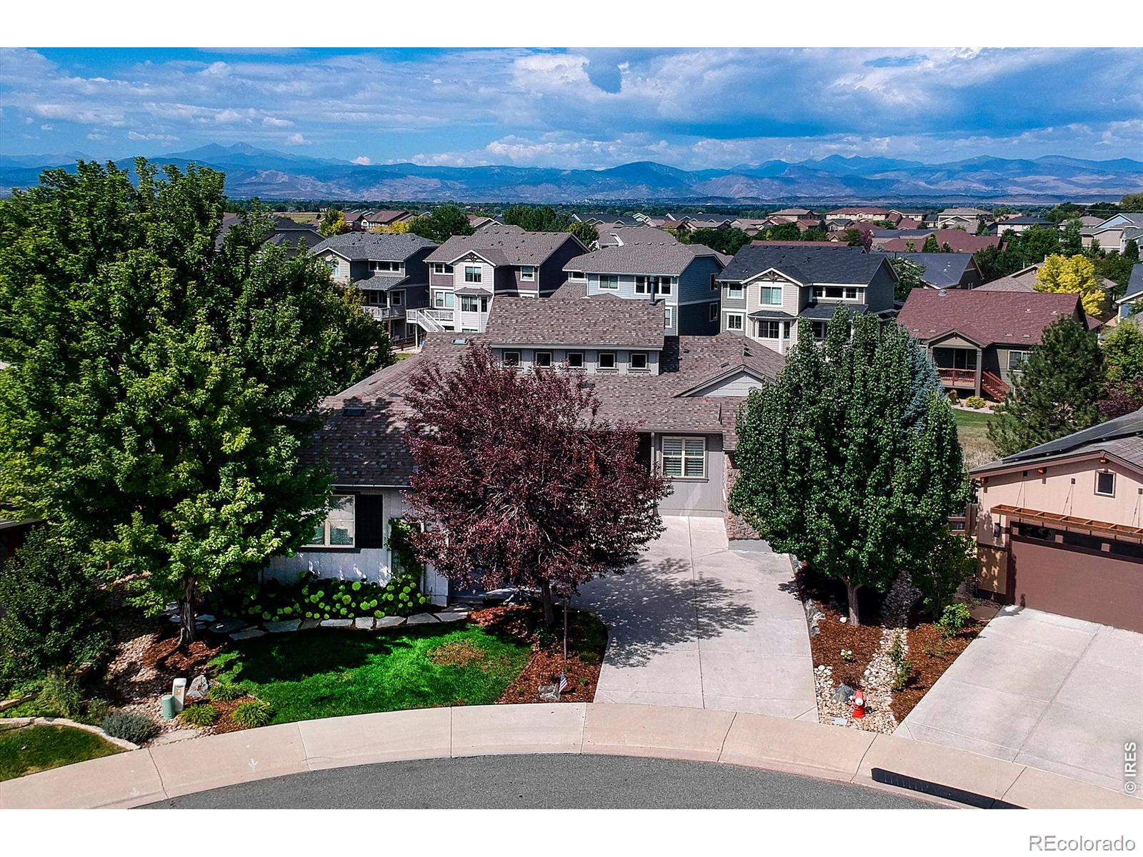 4462 Chaplin Creek Court