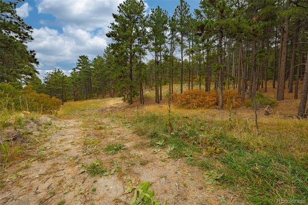 14420 S PERRY PARK RD, LARKSPUR, CO 80118 - Image 0184d96e3988d9942c7e3942c8bacc3c/3801693473