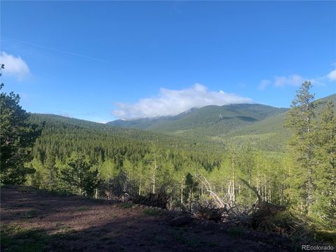 3207 VAUGHN Lane Fort Garland CO 81133