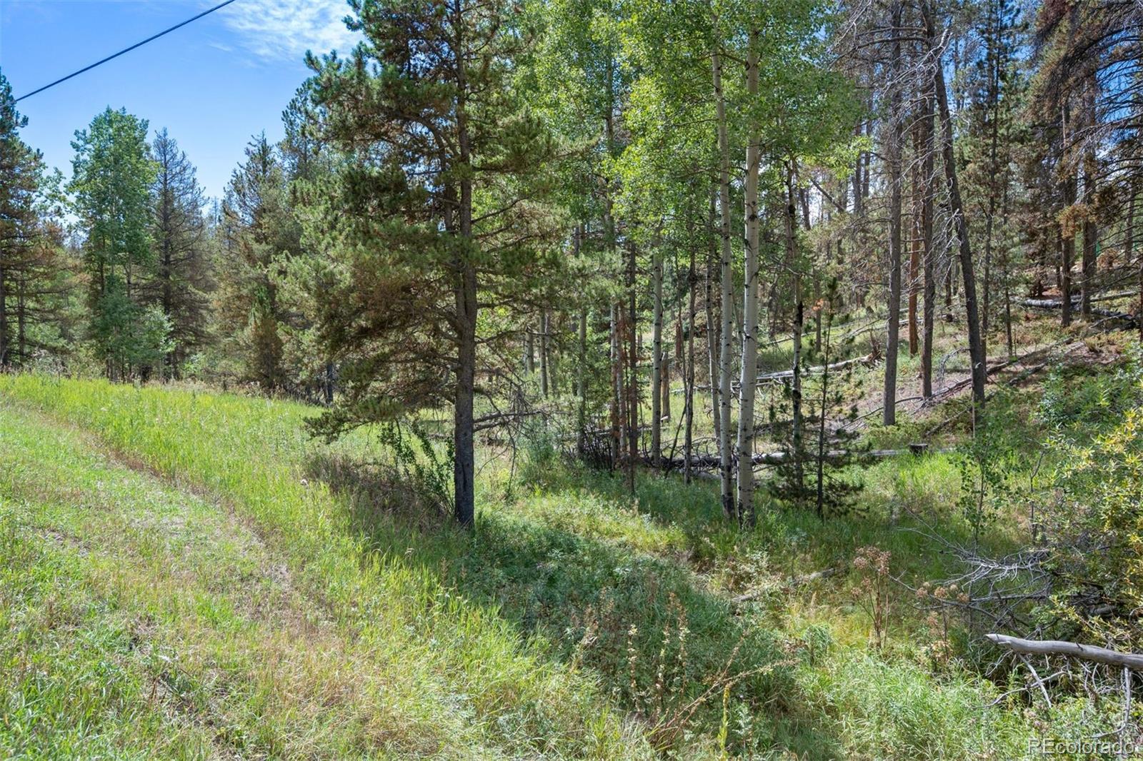 000 Lot 3 Indian Springs Road