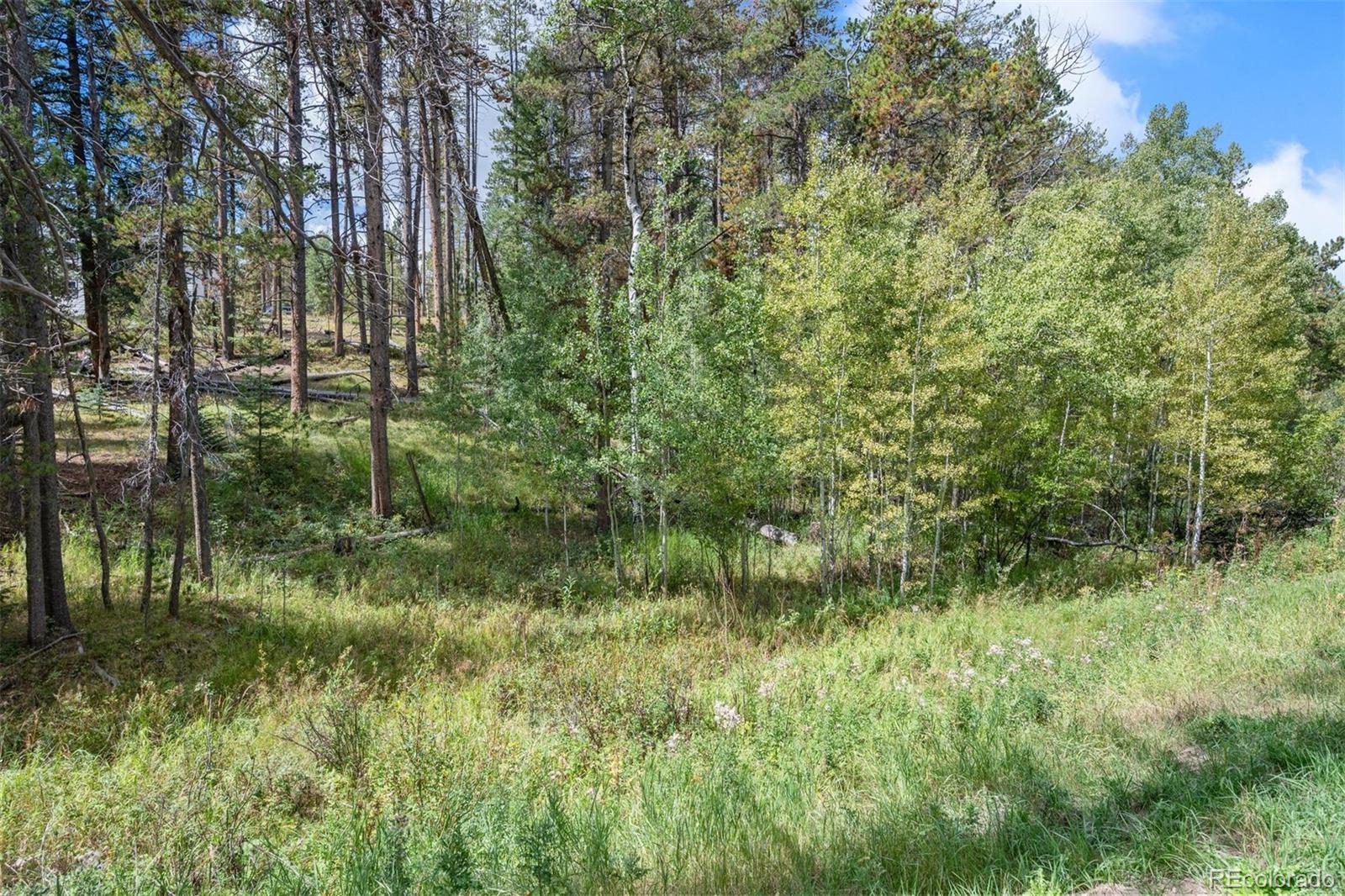 000 Lot 3 Indian Springs Road