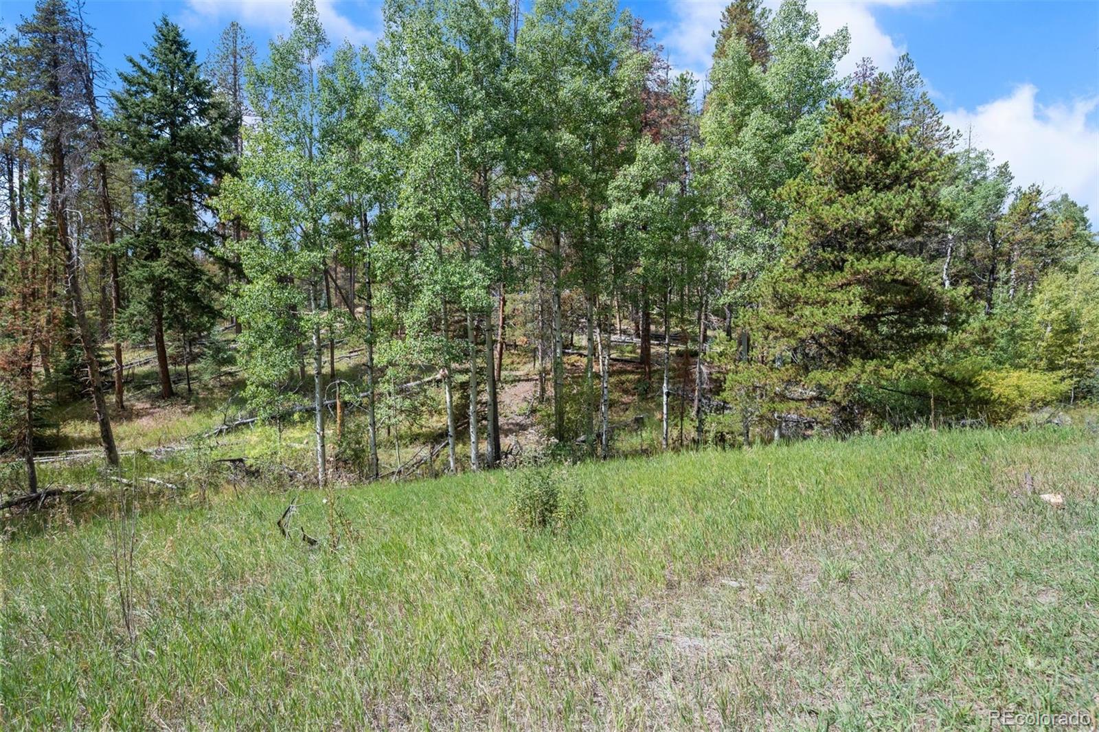 000 Lot 3 Indian Springs Road