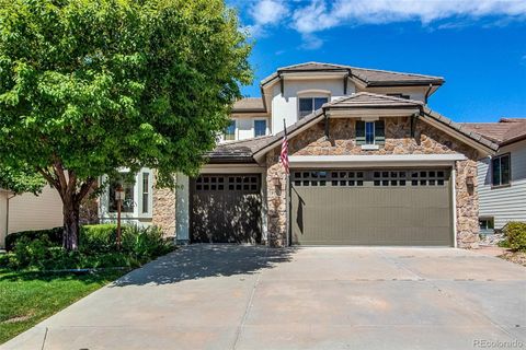 9717 Sunset Hill Drive, Lone Tree, CO 80124 - #: 9082078
