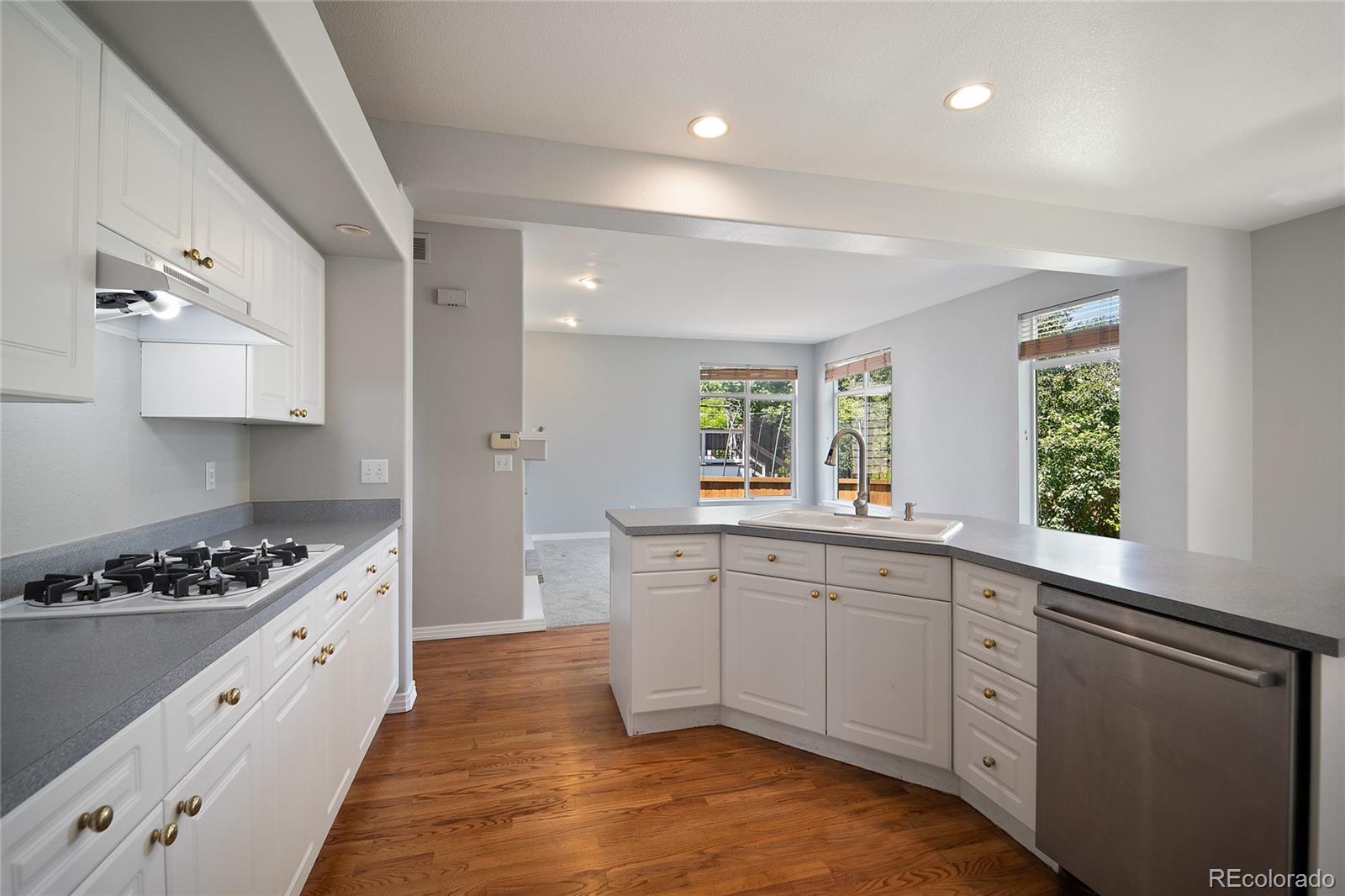 17235 Opal Hill Drive, Parker, CO, 80134 4 17235 Opal Hill Drive