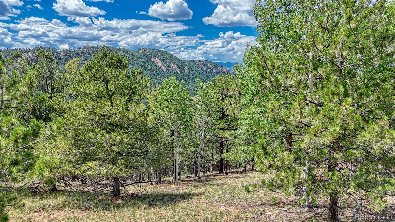 Photo 1 of 30 — 24 Wild Horse Circle, Cripple Creek, CO 80813