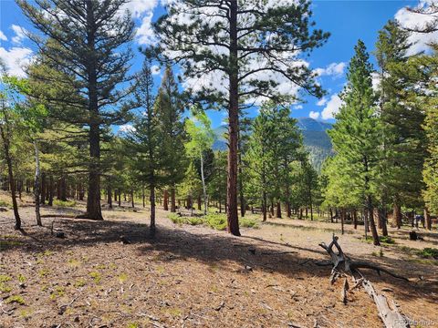 30328 National Forest Drive, Buena Vista, CO 81211 - #: 5956654