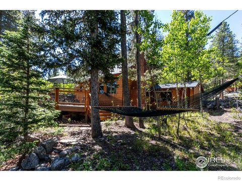 52 Peaceful Valley Road, Lyons, CO 80540 - #: IR990623