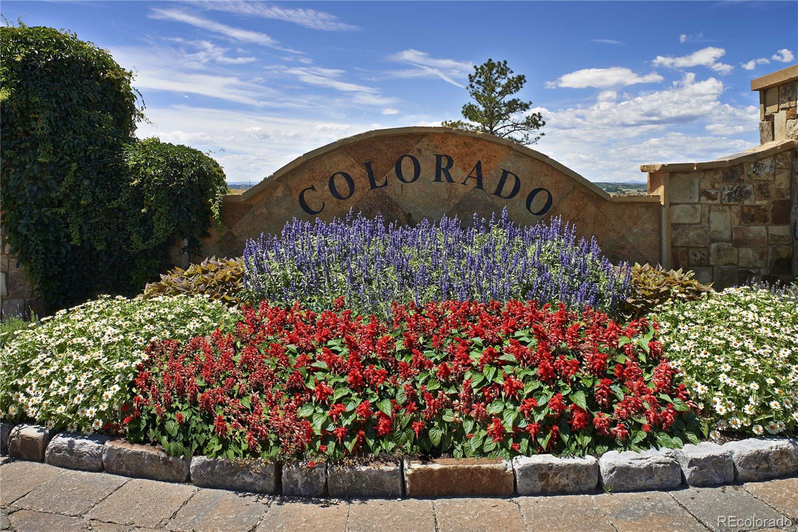 Photo 1 of 1 — 8547 Witez Court, Parker, CO 80134
