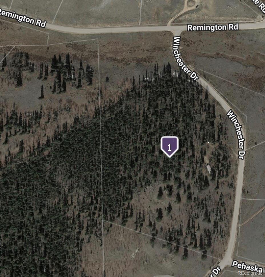 1245 Winchester Drive