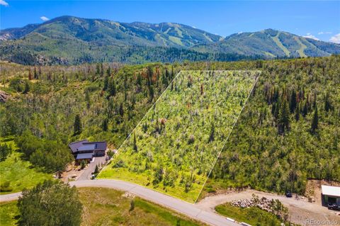 2865 Littlefish Trail, Steamboat Springs, CO 80487 - #: 9763638