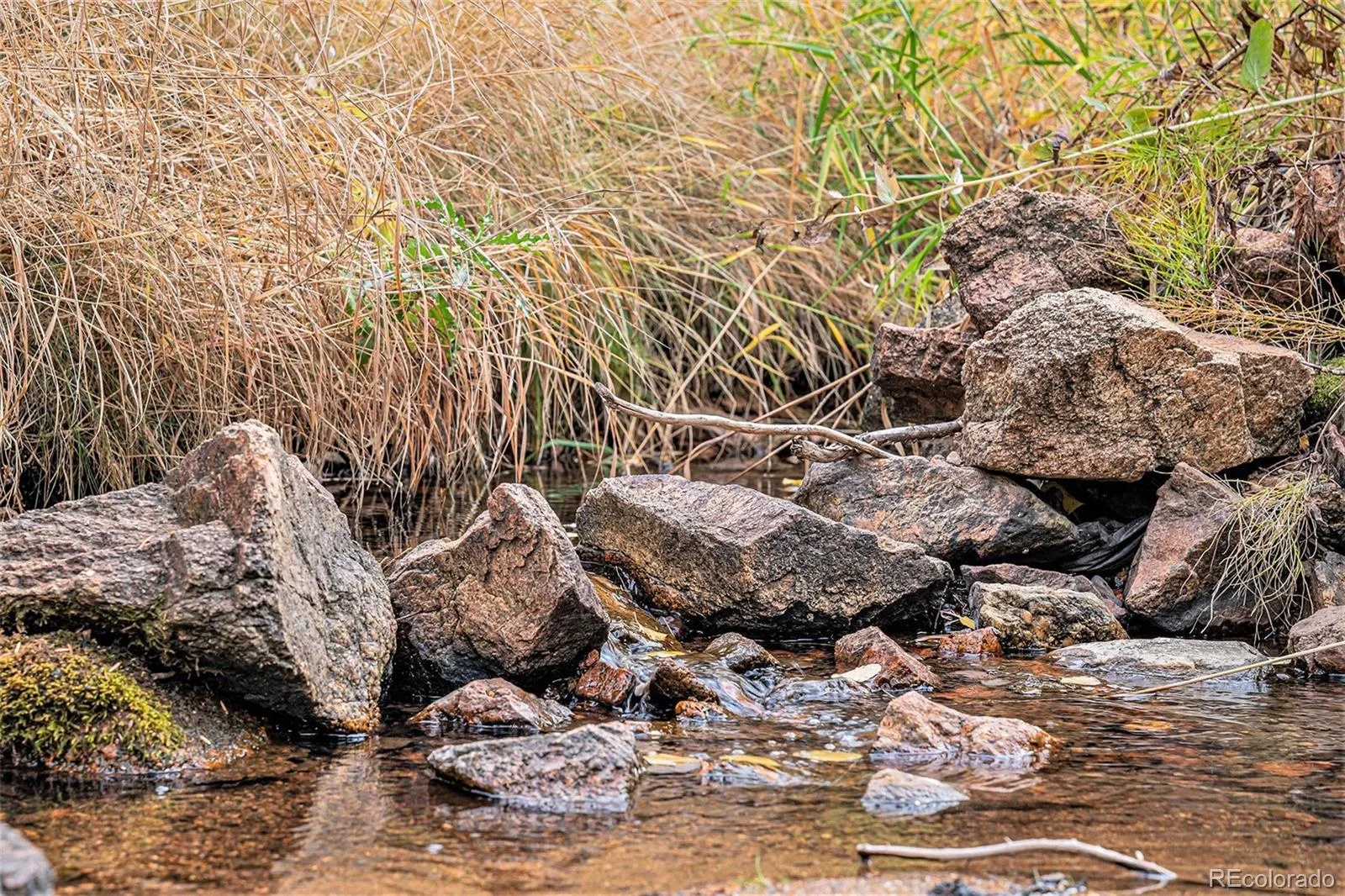 Conifer, Colorado 80433, United States, 1 Bedroom Bedrooms, ,1 BathroomBathrooms,Residential,Active,36936