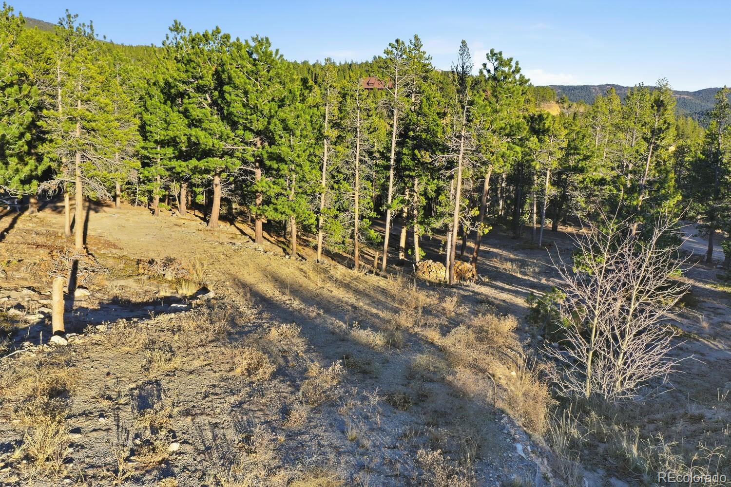 13 Paradise Valley Parkway