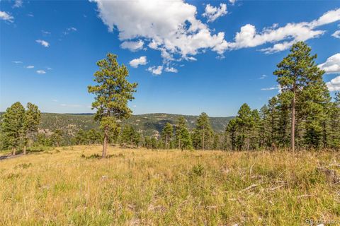 Unimproved Land in Conifer CO 13144 Pine Country Lane 16.jpg