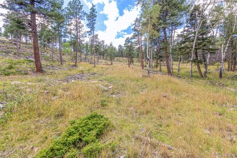 Unimproved Land in Conifer CO 13144 Pine Country Lane 22.jpg