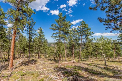 Unimproved Land in Conifer CO 13144 Pine Country Lane 11.jpg