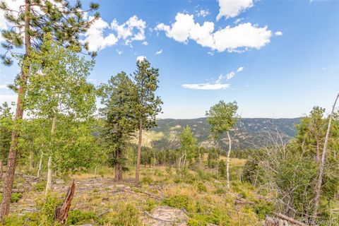 Unimproved Land in Conifer CO 13144 Pine Country Lane 10.jpg