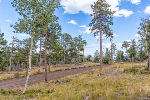Unimproved Land in Conifer CO 13144 Pine Country Lane 7.jpg