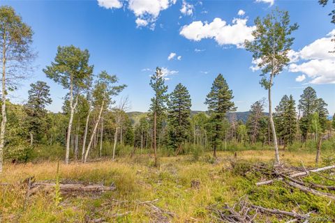 Unimproved Land in Conifer CO 13144 Pine Country Lane 3.jpg