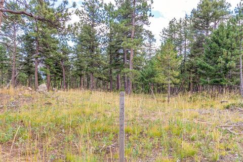 Unimproved Land in Conifer CO 13144 Pine Country Lane 8.jpg