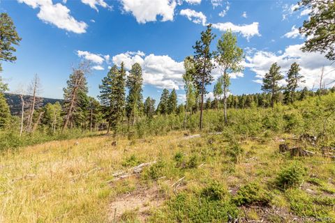 Unimproved Land in Conifer CO 13144 Pine Country Lane 17.jpg