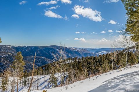 Unimproved Land in Conifer CO 13144 Pine Country Lane 33.jpg