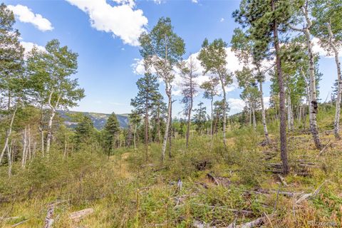 Unimproved Land in Conifer CO 13144 Pine Country Lane 19.jpg