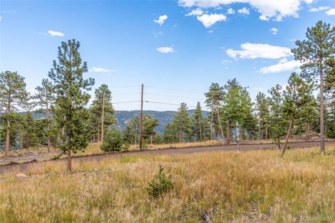 Unimproved Land in Conifer CO 13144 Pine Country Lane 4.jpg
