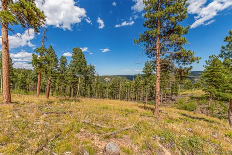 Unimproved Land in Conifer CO 13144 Pine Country Lane 2.jpg