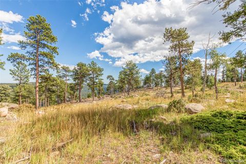 Unimproved Land in Conifer CO 13144 Pine Country Lane 14.jpg