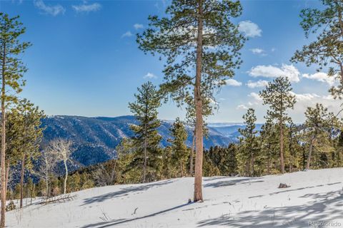 Unimproved Land in Conifer CO 13144 Pine Country Lane 38.jpg