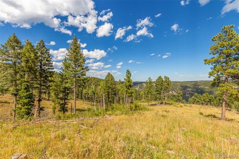 Unimproved Land in Conifer CO 13144 Pine Country Lane 21.jpg