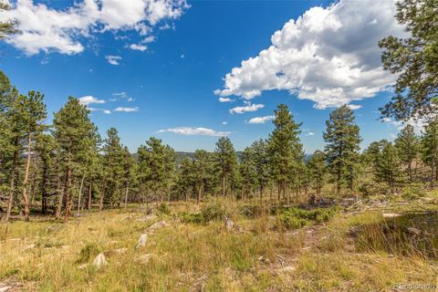 Unimproved Land in Conifer CO 13144 Pine Country Lane 15.jpg