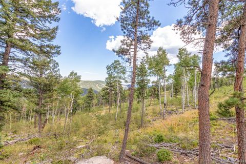 Unimproved Land in Conifer CO 13144 Pine Country Lane 18.jpg