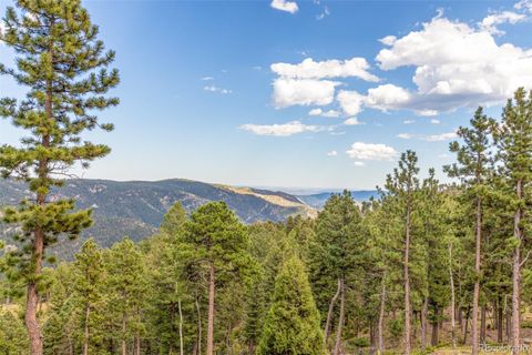 Unimproved Land in Conifer CO 13144 Pine Country Lane.jpg