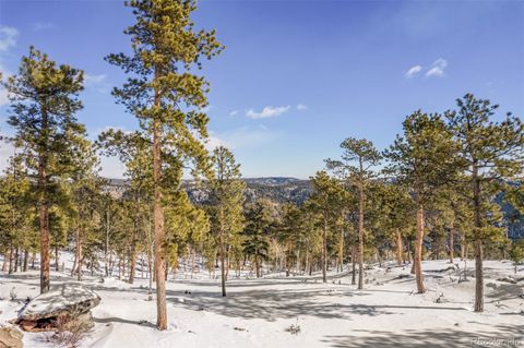 Unimproved Land in Conifer CO 13144 Pine Country Lane 35.jpg