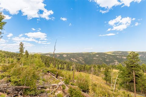 Unimproved Land in Conifer CO 13144 Pine Country Lane 1.jpg