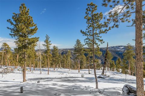 Unimproved Land in Conifer CO 13144 Pine Country Lane 34.jpg