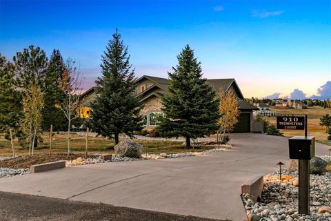 910 Trumpeters Court, Monument, CO 80132 - #: 7702926