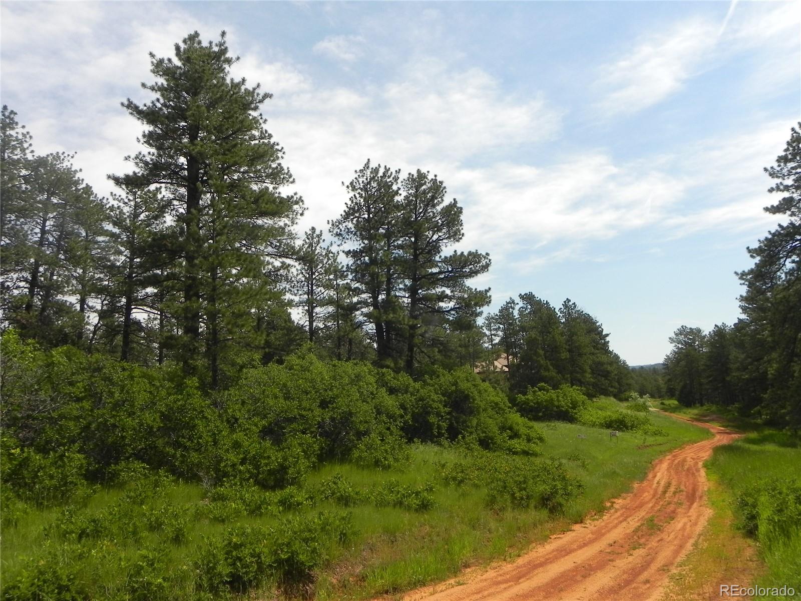 8160 Bannock Drive, Larkspur, CO, 80118 8160 Bannock Drive