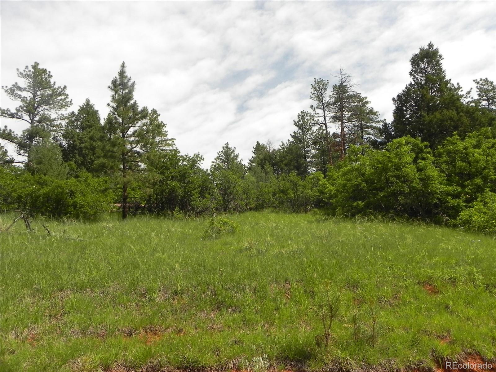 8160 Bannock Drive, Larkspur, CO, 80118 8160 Bannock Drive