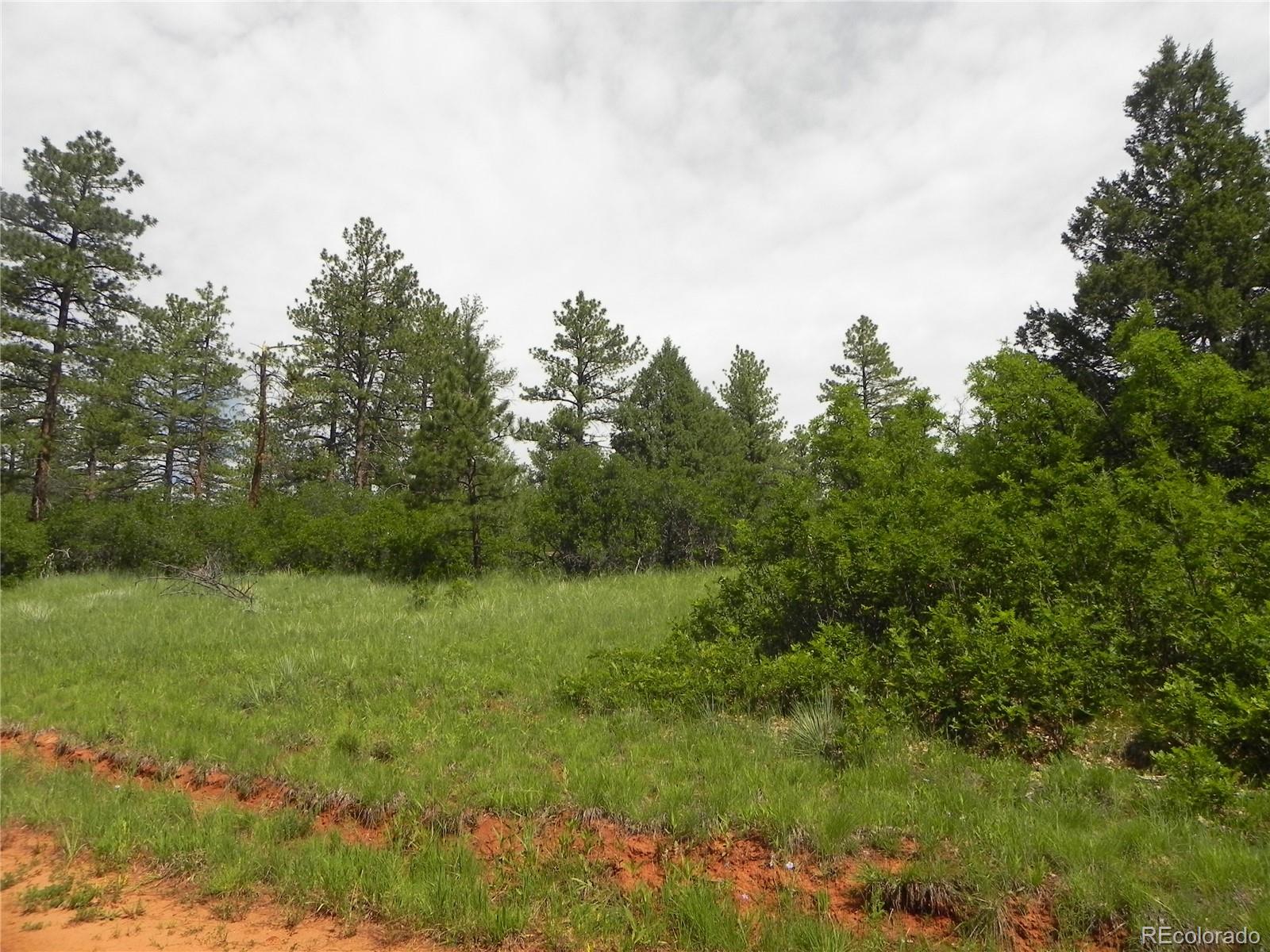 8160 Bannock Drive, Larkspur, CO, 80118 8160 Bannock Drive