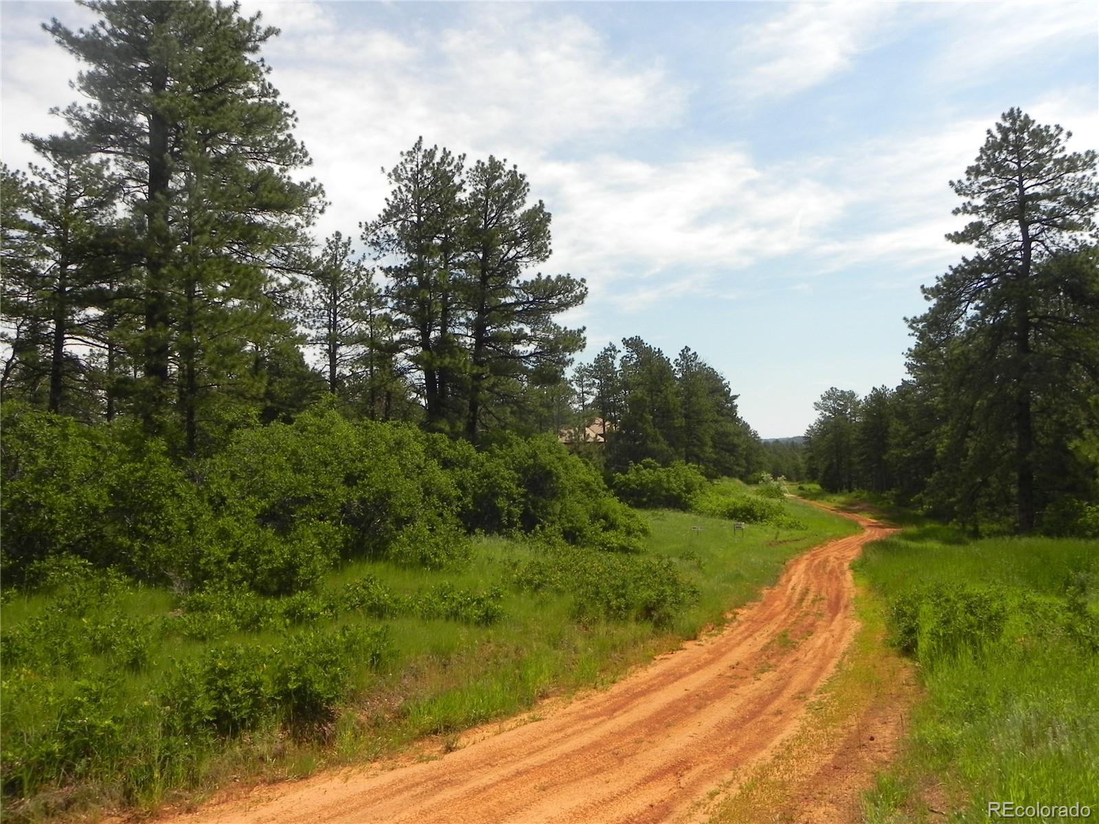 8160 Bannock Drive, Larkspur, CO, 80118 8160 Bannock Drive