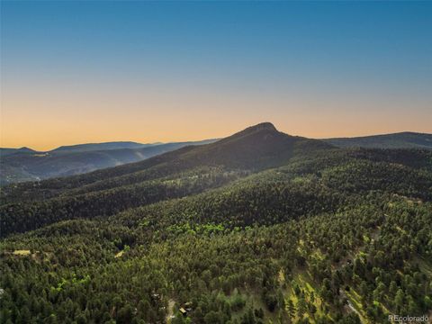 26543 Richmond Hill Road Conifer CO 80433