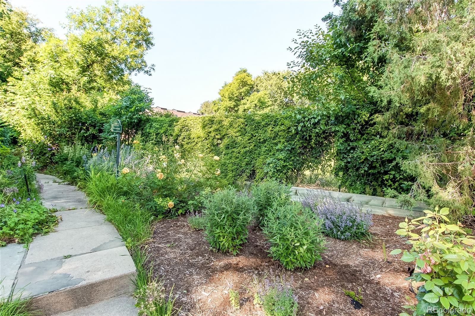8888 W 37th Place, Wheat Ridge, CO, 80033 1 8888 W 37th Place