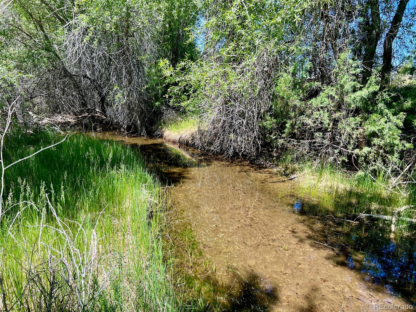 1279 Meadowlark Road, Crestone, CO, 81131 3 1279 Meadowlark Road