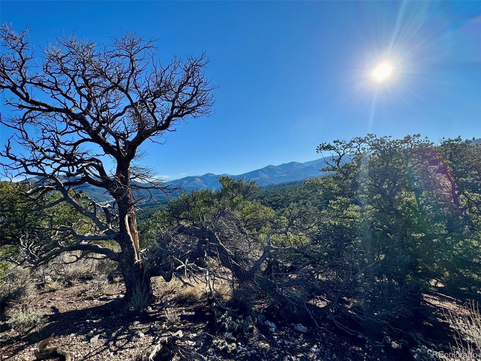 LOT 2337 Sandoval Road