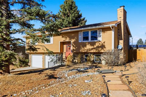111 Elm Avenue Castle Rock CO 80104